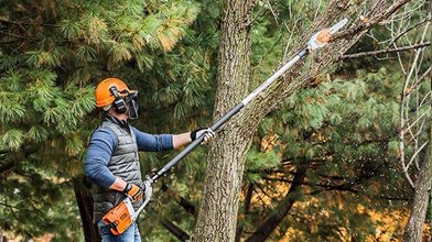 We offer expert tree pruning services to promote healthy growth, improve appearance, and ensure safety. All our pruning techniques adhere to the BS3998 standards, ensuring the best care for your trees.